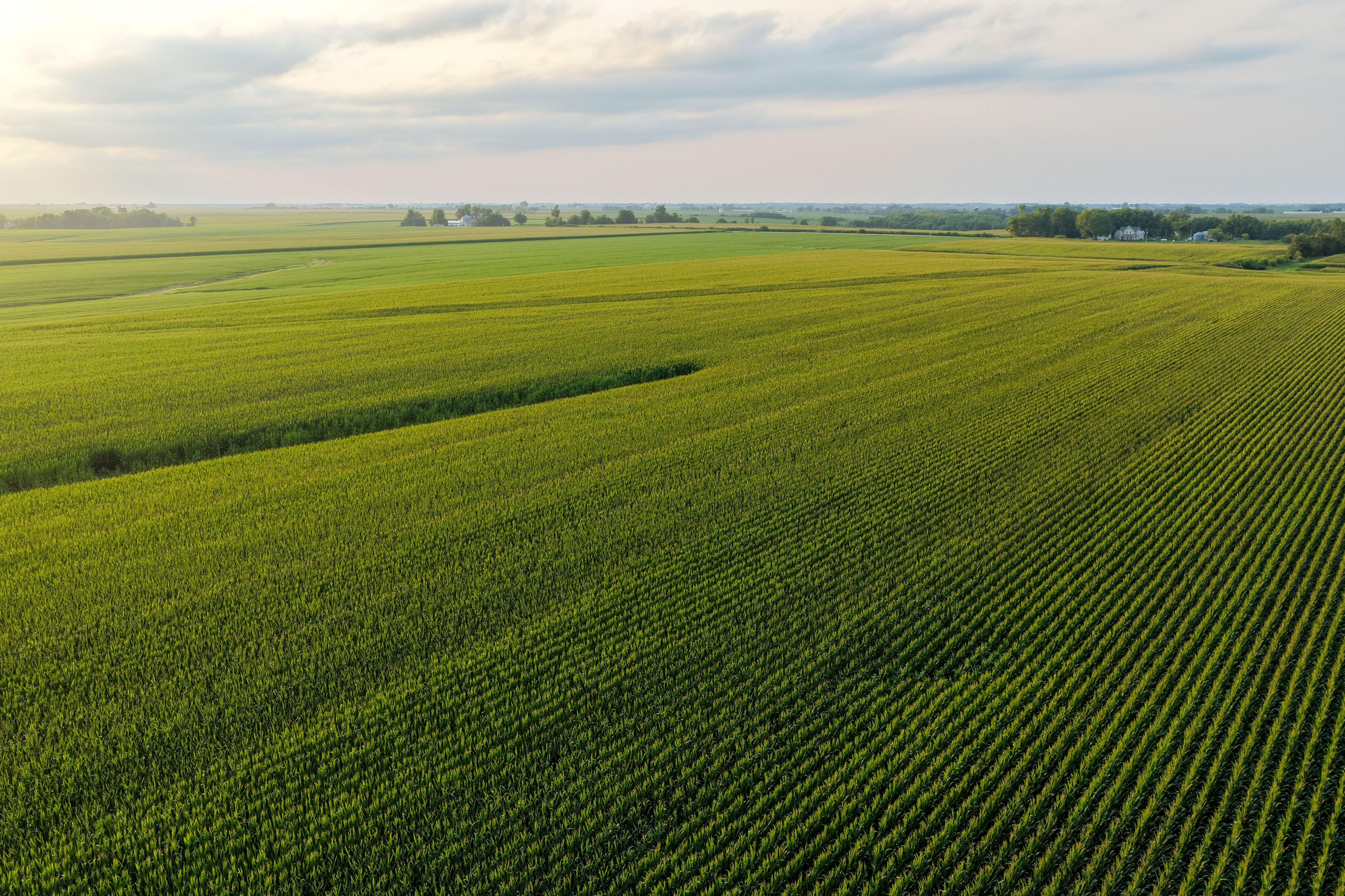 Listing Photo: Land Auction Washington County Iowa-14